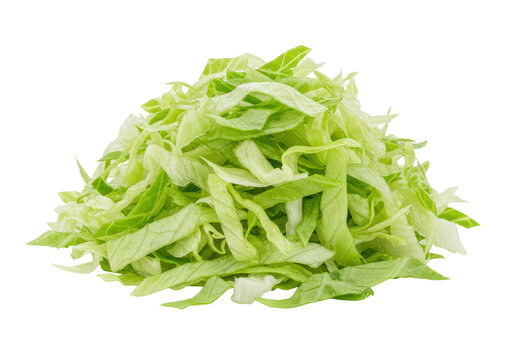 A close-up macro of a vibrant green, perfectly shredded lettuce pile, isolated against a brilliant white background with copy space, showcasing crisp, hydrated texture. Concept of healthy eating and