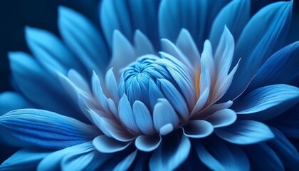 Beautiful Macro Blue Tone Flower For Wallpaper