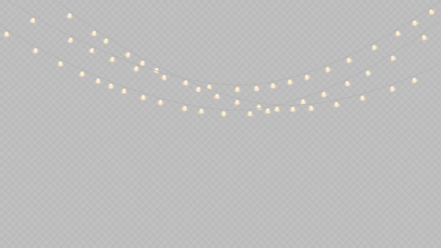 String of warm white fairy lights or string lights hanging against a transparent background