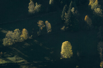 Autumn Mountain Landscape In Romania