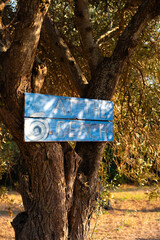 Blue sign with the text ‘At the beach’ attached to a tree in bright summer sunlight
