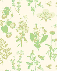 Romantic floral print with wildflowers sketch. Seamless pattern, gentle botanical background with various small flowers. Vector illustration.