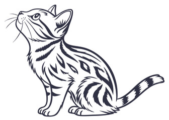vector illustration of a cat