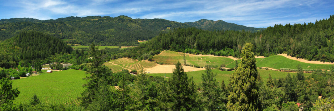 A Panorama of the Napa Valley Wine Country with Mountains and Vineyards in the Distance