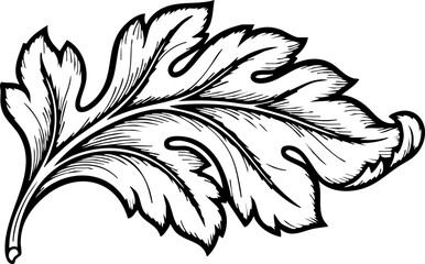 Fototapeta premium Elegant ornate botanical leaf flourish design element adds sophisticated vintage charm to your creative projects instantly.