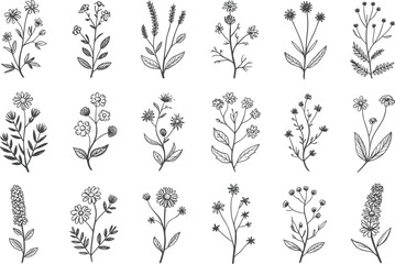 Botanical flower silhouette, black and white, floral design, plant illustration, nature sketch, vector art, minimal style, organic, garden, bloom