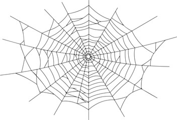 Obraz premium Spider on dew-covered web in morning nature setting