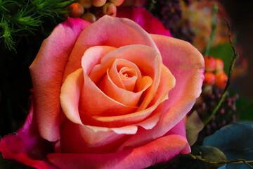 Rosenbl&uuml;te in einem Blumenstrau&szlig;