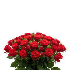 Elegant bouquet of vibrant red roses conveys love, passion, and romance with its classic beauty, perfect for Valentine's Day greetings