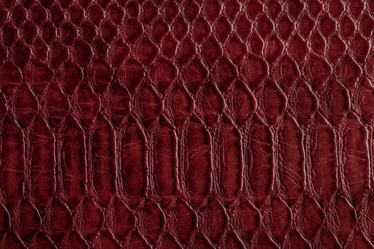 Beautiful red, pink bright snake or crocodile skin, reptile skin texture, multicolored close-up as a background.