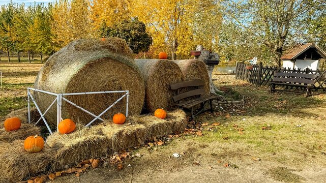 Rustic autumn hay bales with glowing pumpkins, evoking harvest nostalgia and Samhain celebration amidst golden foliage whispers