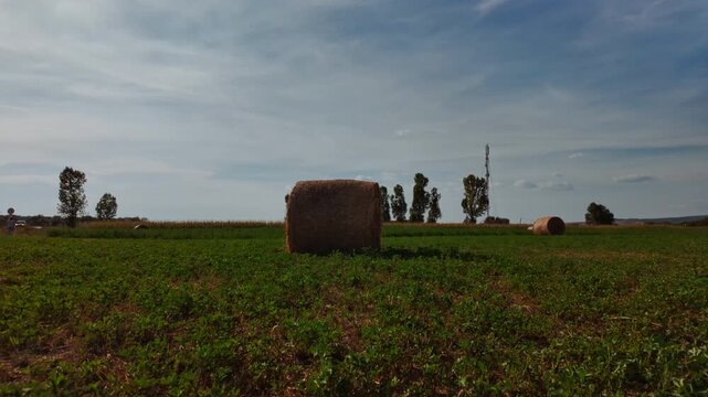 Large round hay bale in a grassy field on a sunny day, with golden straw, green pasture and soft clouds creating a calm rural scene