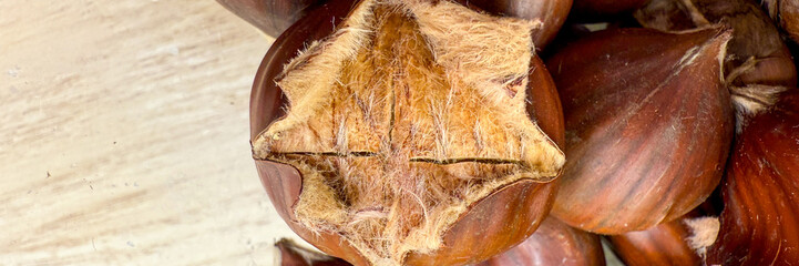 Cracked chestnut reveals fuzzy warmth, echoing autumn nostalgia and nutty abundance, ideal for Samhain feasts and harvest celebrations