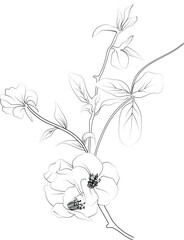 Silhouette of Quince flower, petal leaves of branch vector illustration, Quince flower free printable silhouette design line art vector isolated on white backgrounds