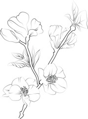 Elegant Floral Silhouette Arrangement with Flowers and Quince, hand-drawn Quince flower leaf, and vector illustration isolated on a white background