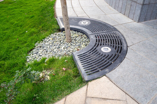 Semicircular protective grille for trees with spotlights and gravel cushion around the trunk on a paved path. Urban landscape design, tree protection. Real photo