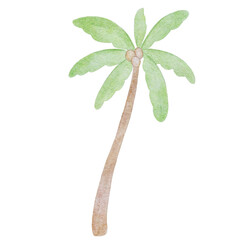 Watrrcolor tropical palm tree. Safari illustration for  kids