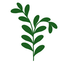 Stylized green plant with leaves illustration hand-drawn art