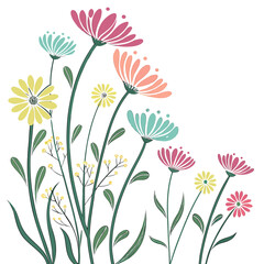 alyssum on white background 