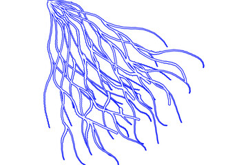 Electric blue lightning bolts strike in a dynamic display, perfect for science, energy, or powerful impact visuals for presentations or creative projects