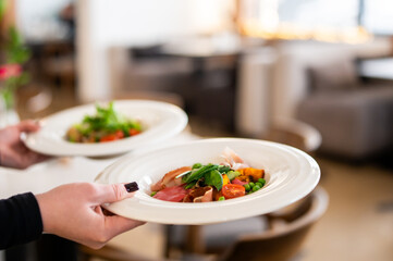 Waiter serving gourmet meal in upscale restaurant with shallow depth of field for elegant dining, catering, hospitality, and fresh food concepts