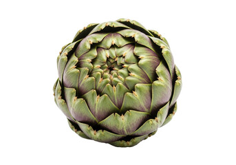 Fototapeta premium Fresh raw globe artichoke, overhead view on a clear background. isolated on transparent background