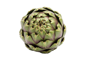Fresh raw globe artichoke, overhead view on a clear background. isolated on transparent background
