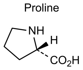 Proline, chemical structure of proline, drug substance