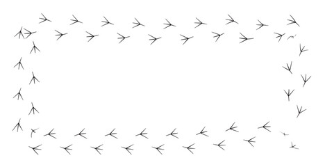 Bird footprint loop EPS design showing clockwise motion, ideal for nature and tracking visuals.