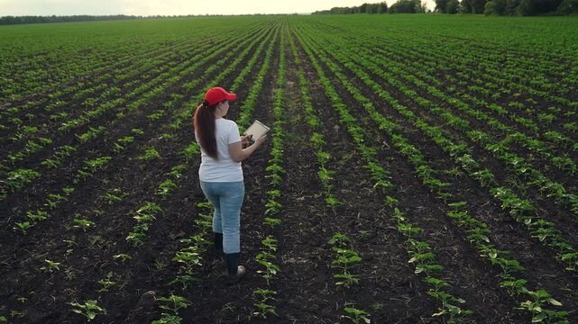 Agriculture, Smart solutions for farmers, Drone era in farming (figurative), Agricultural productivity boost, Digital transformation on farms, New techniques in modern farming, Online database for