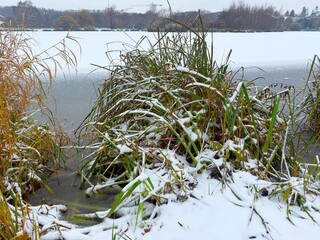 Winter nature. Frozen Lake in Prague