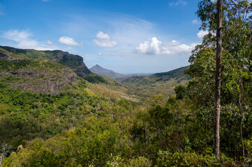 View on Black River Gorge National Park near Chamarel, Mauritius. Black River Gorges National Park on Mauritius.