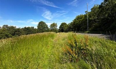 A lush, green path runs alongside a road under a vibrant blue sky. Tall grass and trees line the path, creating a natural, serene setting on High Bank Lane, Bradford, Yorkshire, UK