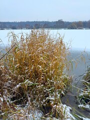 Winter nature. Frozen Lake in Prague