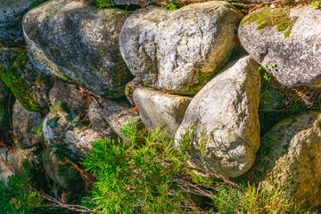 Natural stones and greenery create a peaceful backdrop along a garden wall in bright sunlight during midday