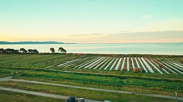 A van parked in open fields next to the sea at sunrise, aerial drone shot, van life good vibes