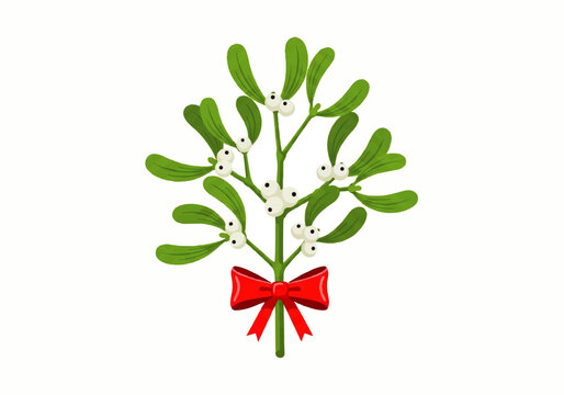 Illustration of a mistletoe sprig with green leaves, white berries, and a red ribbon bow on a white background.