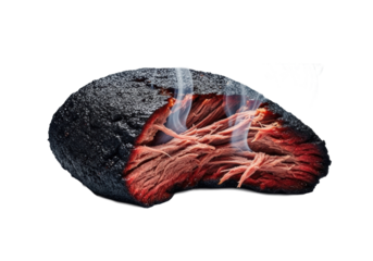 Charred, torn smoked brisket, crispy bark, glistening red interior, intricate marbling, tender strands, rich smoke, isolated on transparent, luxurious culinary drama