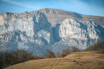 mountain landscape with snow and trees