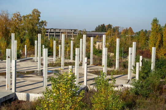 Concrete pillars stand at an abandoned construction site, now overgrown with plants and trees, under a bright blue sky
