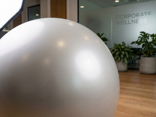 Exercise Ball in Modern Corporate Wellness Room