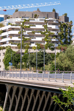 Modern architecture housing residential scenes in Montpellier France enriched with sustainable vegetation distributed over urban building surfaces in natural light