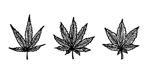 Set of hand drawn cannabis leaf Medicine marijuana Hemp leaves clipart in doodle style Single element for print, web, design, decor