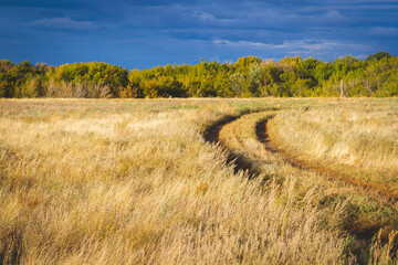 Road in field at sunset. Beautiful sunset and field road..