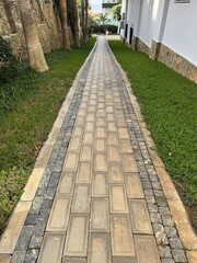 Long stone walkway with greenery on both sides, leading toward the sea. Clean geometric pattern, natural light, calm landscape background for architecture or travel themes.