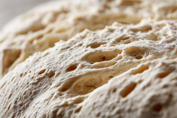Close-up of dough surface expanding during proofing, high detail of air pockets and texture,