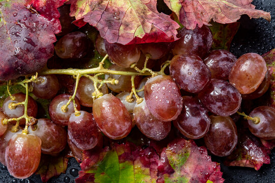 Uvas rojas frescas dispuestas en una superficie de pizarra negra, creando un castraste visual con gotas de agua en las hojas de la parra a&ntilde;aden un aspecto fresco y apetitoso