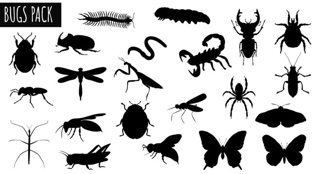 Silhouette Bug Collection: A stunning collection of insect silhouettes against a backdrop, each detail vividly captures the essence of these fascinating creatures.