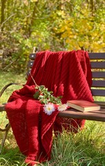 Warm red blanket draped on a bench with flowers and books in a peaceful autumn park setting