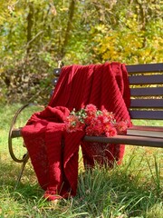 Cozy red blanket draped over a park bench surrounded by autumn foliage and vibrant flowers